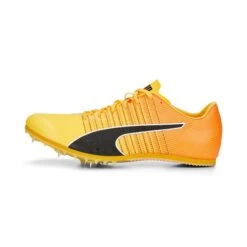 Chaussures D'athlétisme Puma EvoSPEED Tokyo Future Jump 4