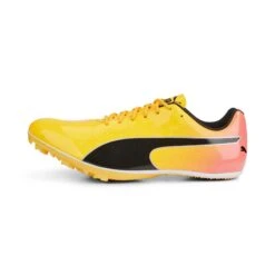 Chaussures D'athlétisme Puma EvoSpeed Sprint 14